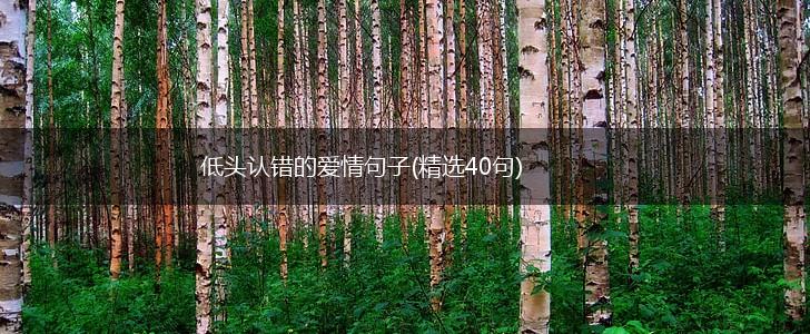 低头认错的爱情句子(精选40句),第1张