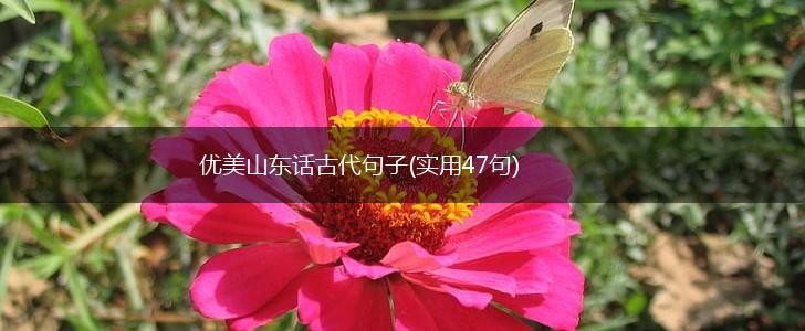 优美山东话古代句子(实用47句),第1张