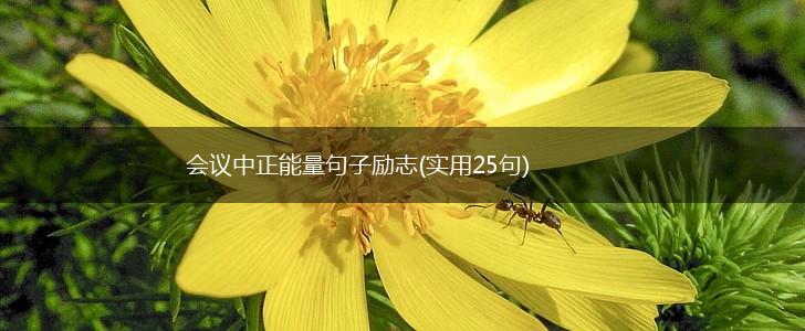 会议中正能量句子励志(实用25句),第1张
