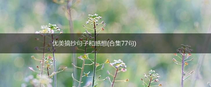优美摘抄句子和感想(合集77句),第1张