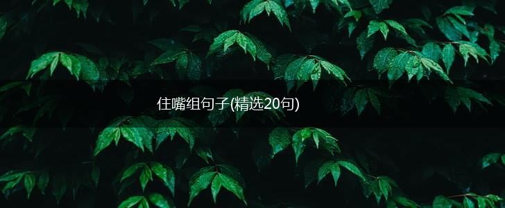 住嘴组句子(精选20句),第1张