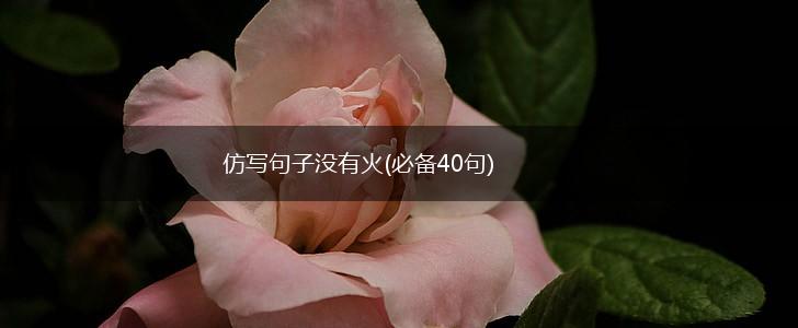 仿写句子没有火(必备40句),第1张