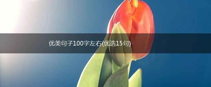 优美句子100字左右(优选15句),第1张
