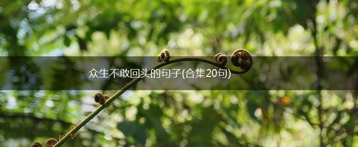 众生不敢回头的句子(合集20句),第1张