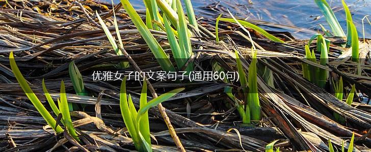 优雅女子的文案句子(通用60句),第1张