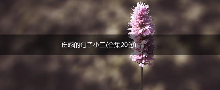 伤感的句子小三(合集20句),第1张