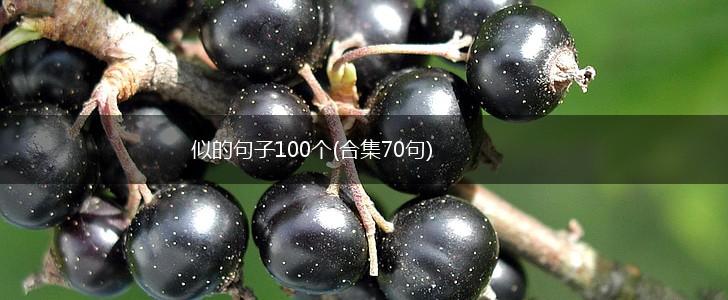 似的句子100个(合集70句),第1张