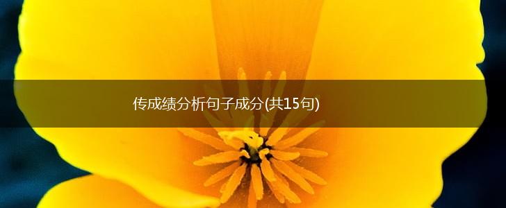 传成绩分析句子成分(共15句),第1张