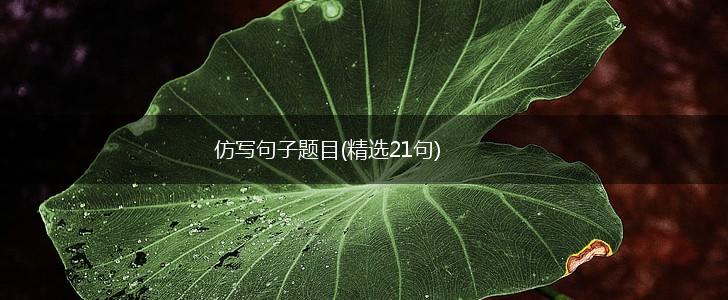 仿写句子题目(精选21句),第1张