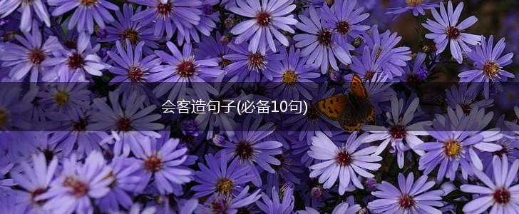 会客造句子(必备10句),第1张