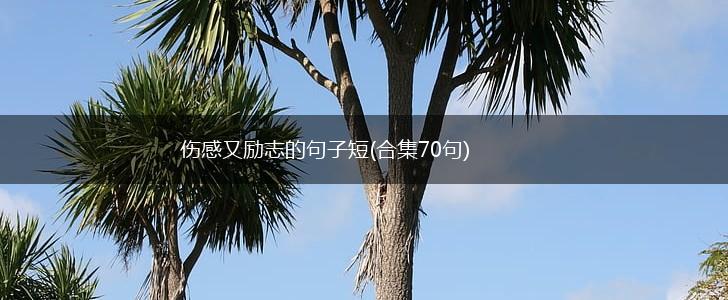 伤感又励志的句子短(合集70句),第1张