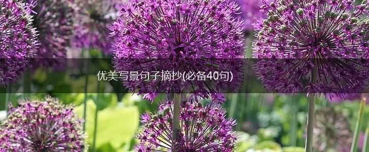 优美写景句子摘抄(必备40句),第1张