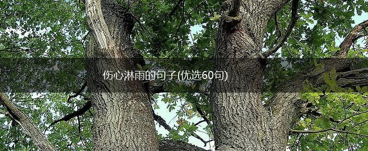 伤心淋雨的句子(优选60句),第1张