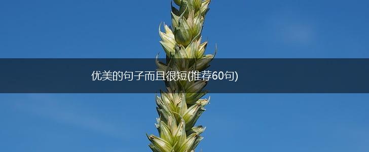 优美的句子而且很短(推荐60句),第1张