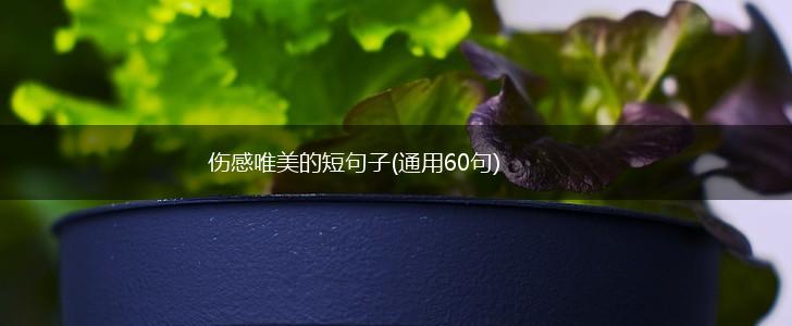 伤感唯美的短句子(通用60句),第1张