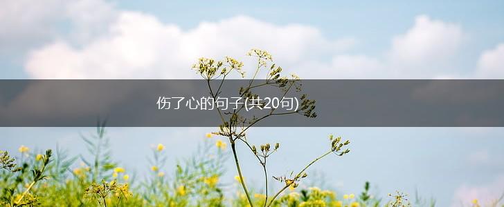 伤了心的句子(共20句),第1张
