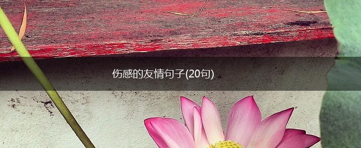 伤感的友情句子(20句),第1张
