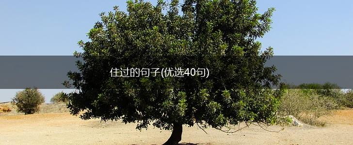 住过的句子(优选40句),第1张