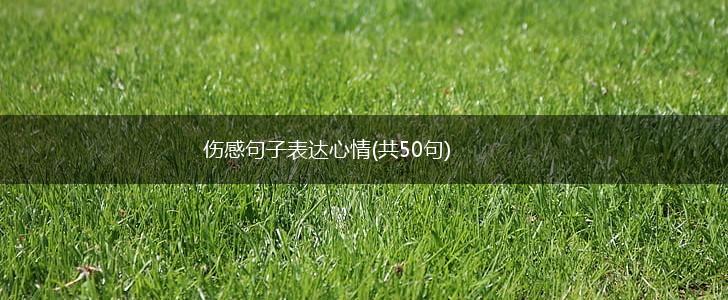 伤感句子表达心情(共50句),第1张