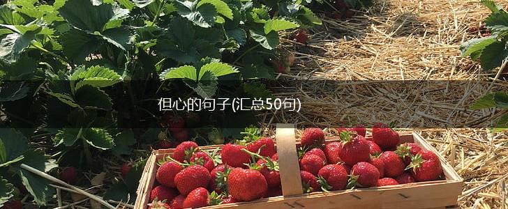 但心的句子(汇总50句),第1张