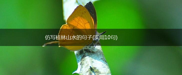 仿写桂林山水的句子(实用10句),第1张