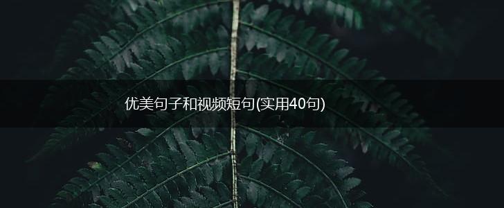 优美句子和视频短句(实用40句),第1张