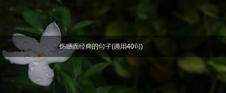 伤感而经典的句子(通用40句),第1张