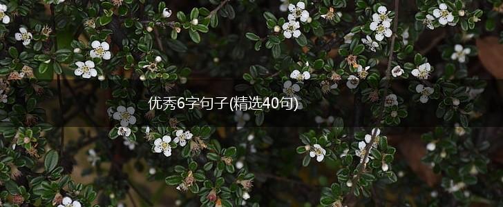 优秀6字句子(精选40句),第1张