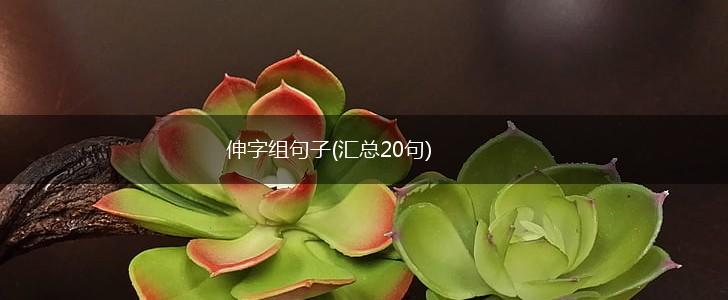 伸字组句子(汇总20句),第1张