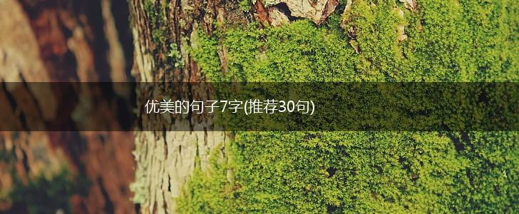 优美的句子7字(推荐30句),第1张