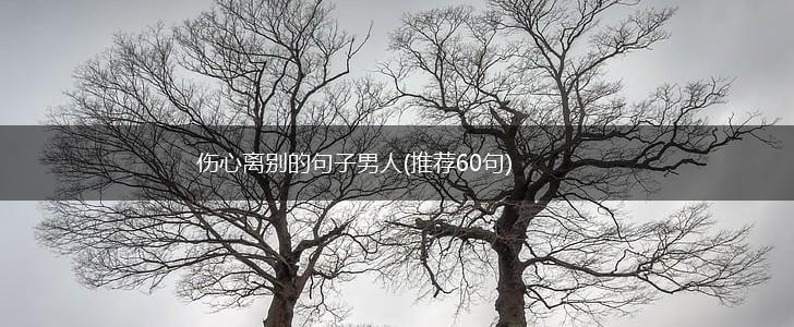 伤心离别的句子男人(推荐60句),第1张