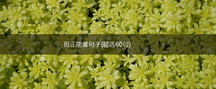 但正能量句子(精选60句),第1张