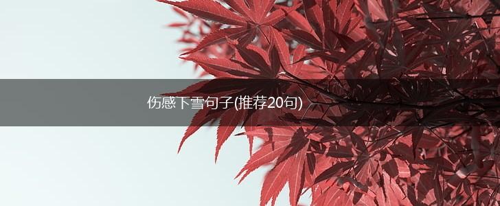 伤感下雪句子(推荐20句),第1张