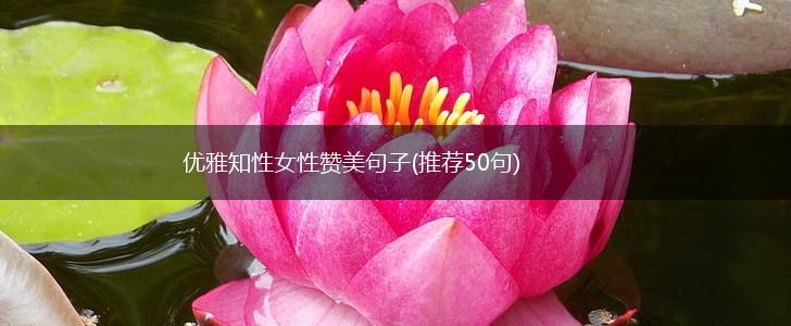 优雅知性女性赞美句子(推荐50句),第1张