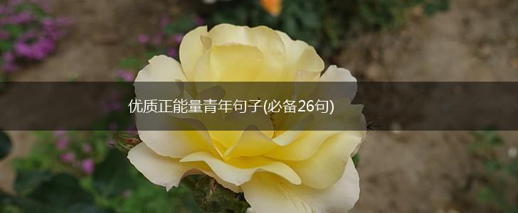 优质正能量青年句子(必备26句),第1张