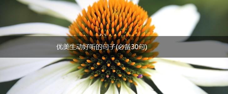 优美生动好听的句子(必备30句),第1张
