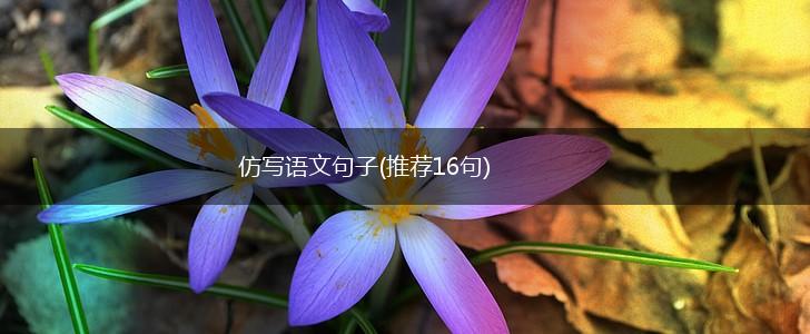 仿写语文句子(推荐16句),第1张