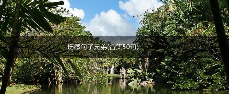 伤感句子兄弟(合集50句),第1张