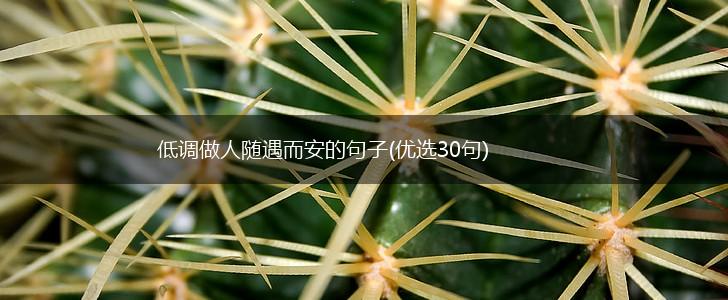 低调做人随遇而安的句子(优选30句),第1张
