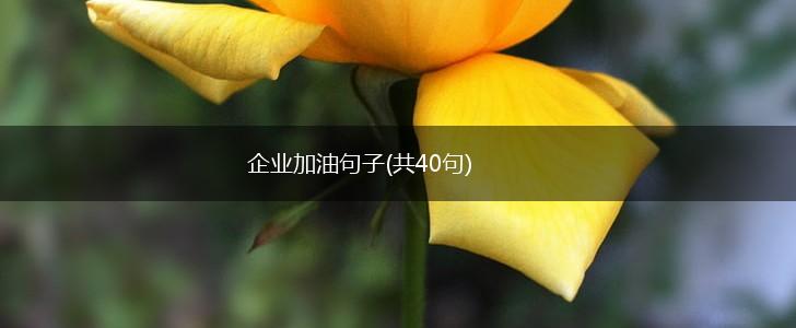 企业加油句子(共40句),第1张