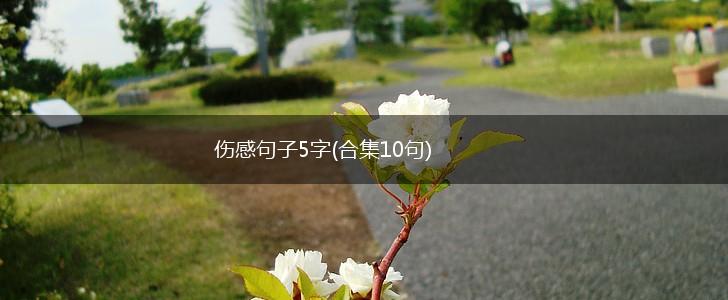 伤感句子5字(合集10句),第1张