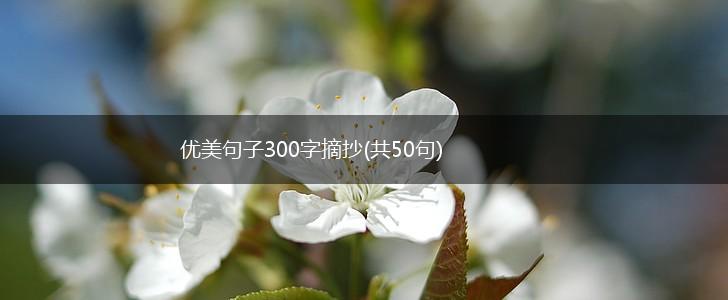 优美句子300字摘抄(共50句),第1张