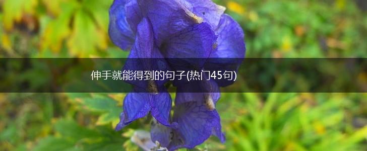 伸手就能得到的句子(热门45句),第1张