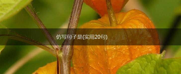 仿写句子是(实用20句),第1张