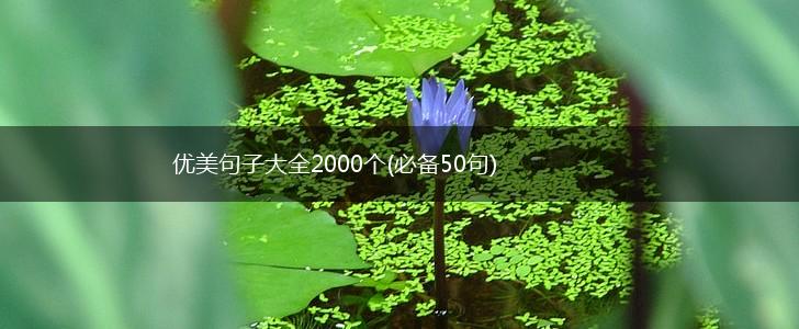优美句子大全2000个(必备50句),第1张