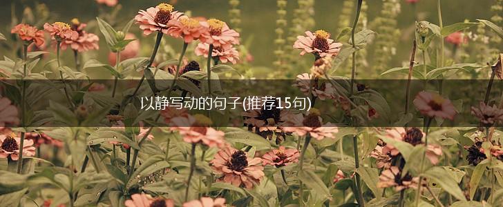 以静写动的句子(推荐15句),第1张