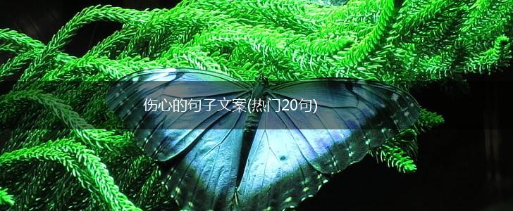 伤心的句子文案(热门20句),第1张