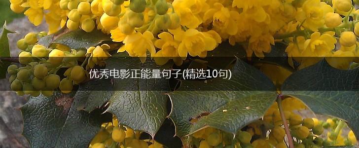 优秀电影正能量句子(精选10句),第1张