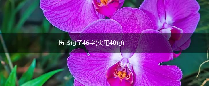 伤感句子46字(实用40句),第1张