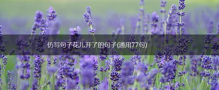 仿写句子花儿开了的句子(通用77句),第1张